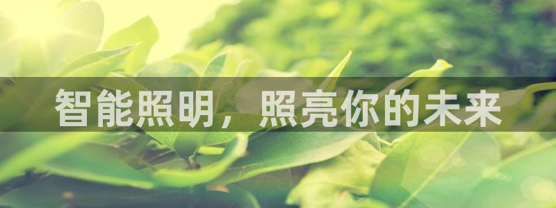云顶国际能提现吗知乎