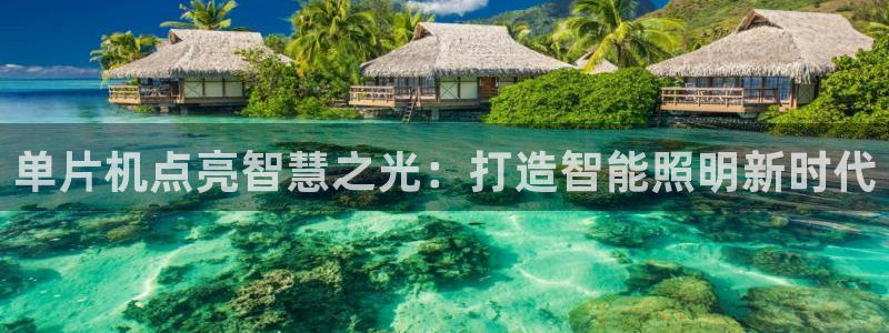 云顶国际平台游戏app