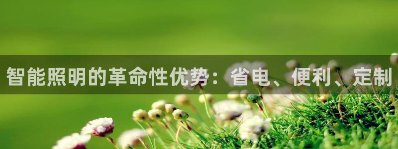 云顶国际官网官方