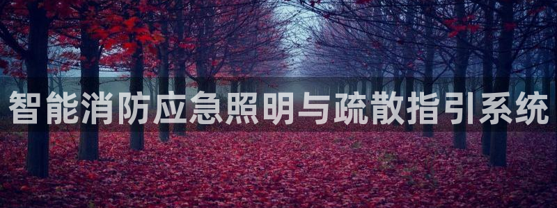 云顶国际是做什么的公司