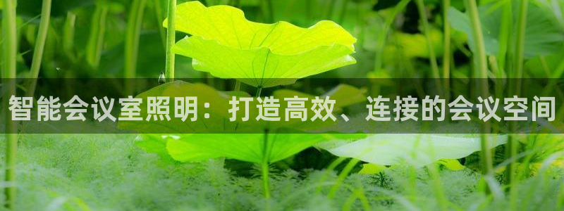 云顶国际服手游
