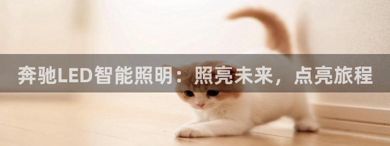 云顶国际商业广场商户