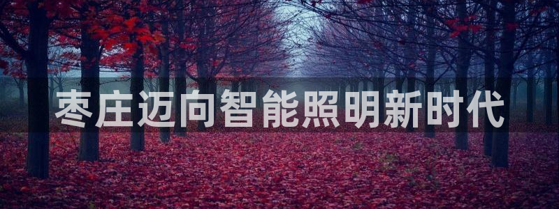 云顶国际公馆房价
