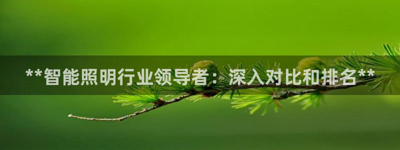 云顶集团游戏入口