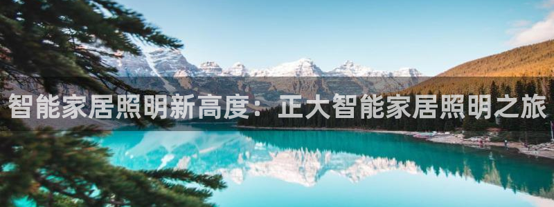 云顶国际中国官方网站
