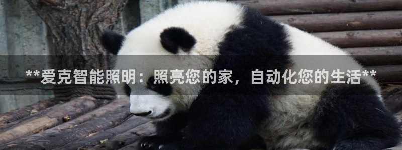云顶路线图