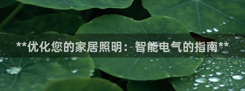 云顶集团中国区总裁