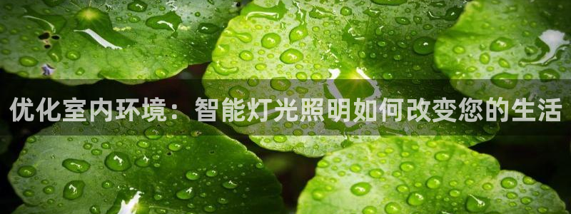 云顶国际滑雪场在哪里