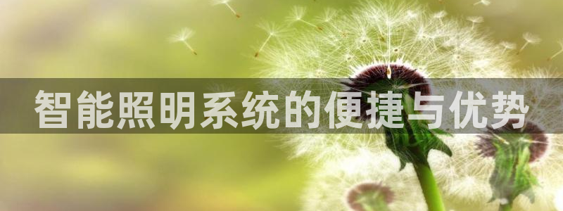 云顶集团董事长林东