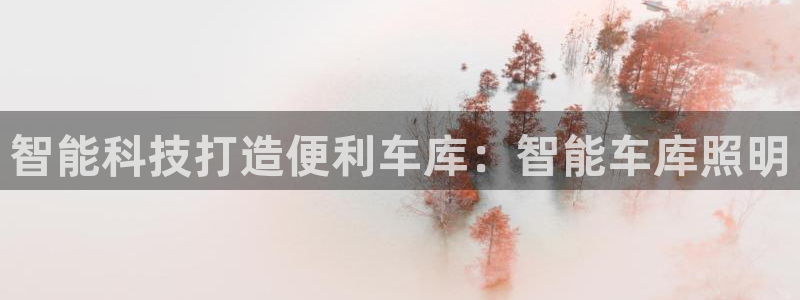 云顶国际账号怎么登录不了
