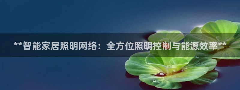 云顶国际集团游戏官网