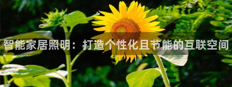 云顶国际ktv怎么样