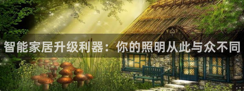 云顶国际服s9赛季什么时候出的