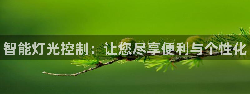 云顶集团中国区总裁