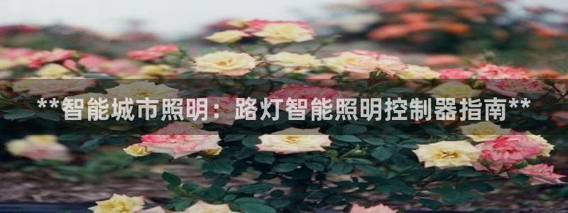 云顶国际软装公司怎么样