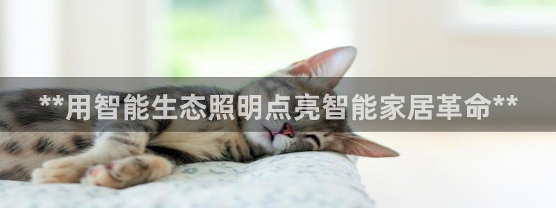 云顶国际调酒培训怎么样