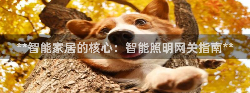 云顶28官网下载