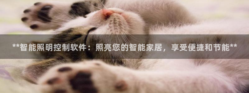 云顶国际提现让你拍身份证