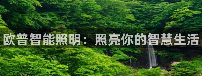 云顶国际平台为什么提现不了呢