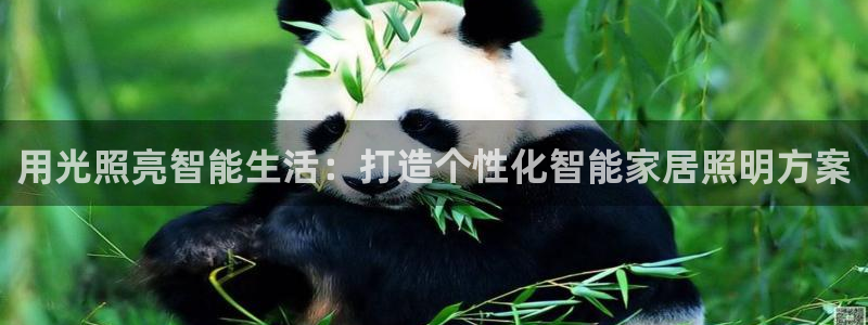 云顶手游国际版
