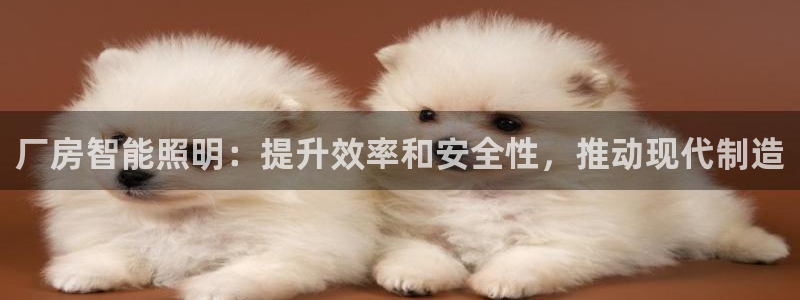 云顶国际版怎么下载