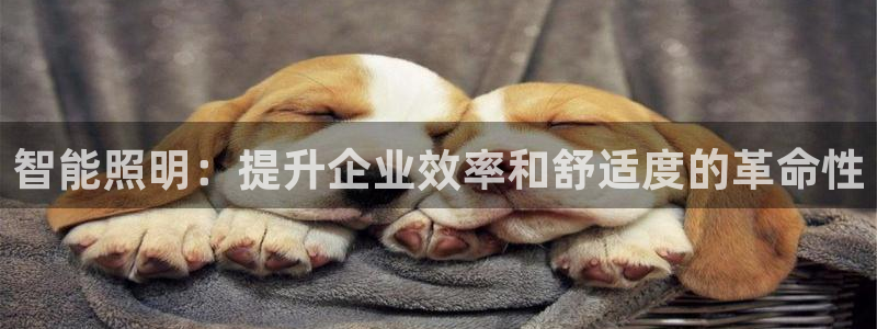 云顶国际pg网站