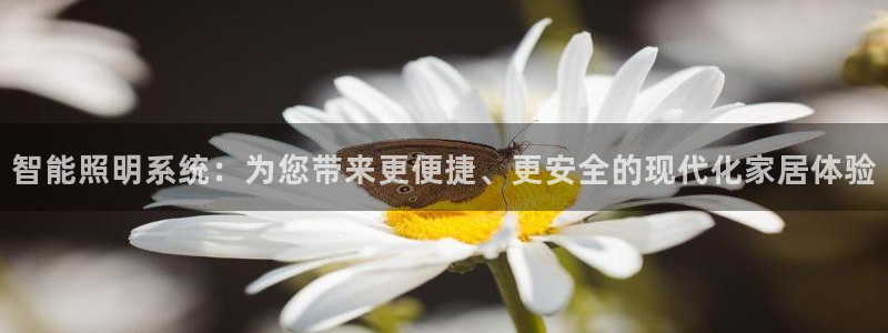 lol云顶国际服