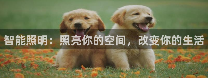 奉化云顶国际ktv