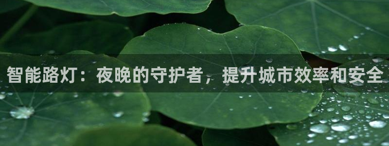 云顶国际服更新时间
