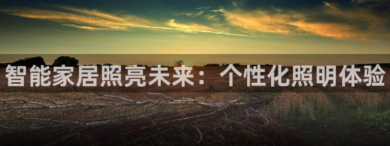 云顶国际版