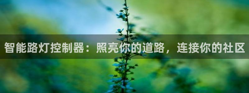 云顶国际服s9什么时候更新的