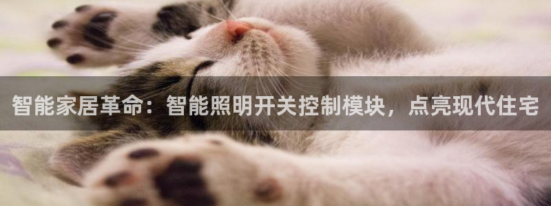 云顶国际KTV