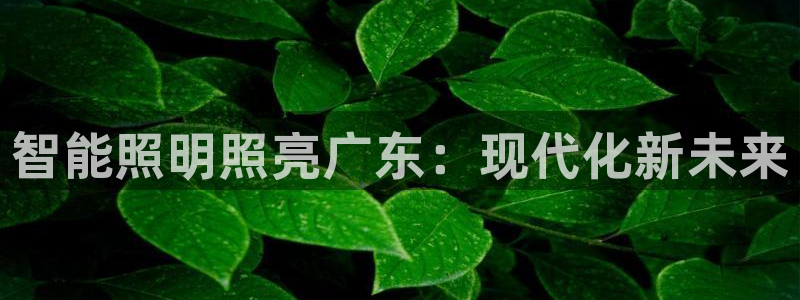 云顶集团