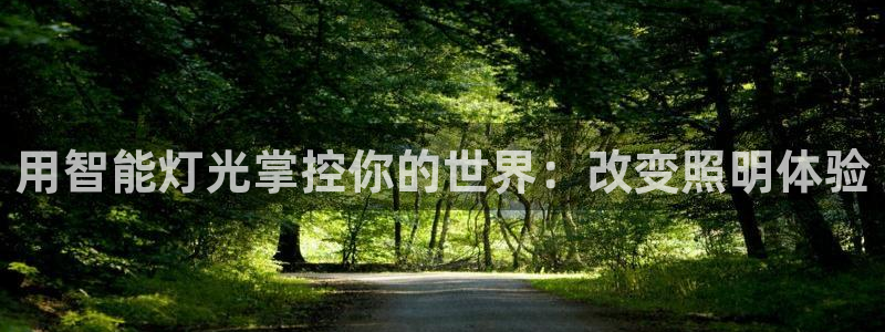 云顶国际服怎么更新
