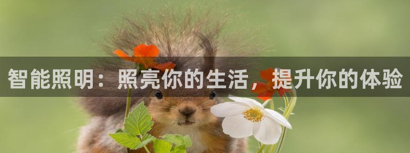 云顶国际高尔夫俱乐部怎么样