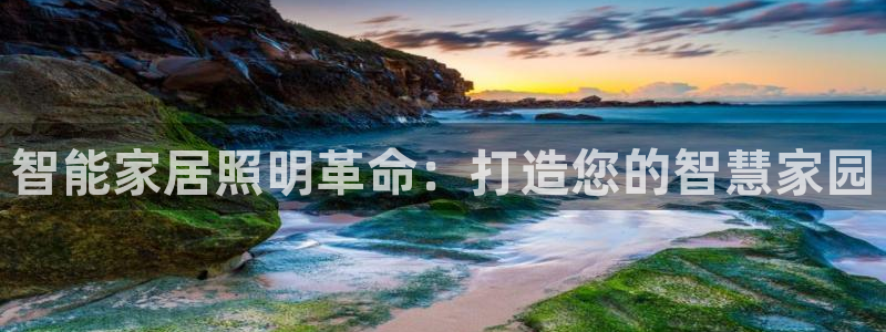 云顶集团董事长林东简历照片