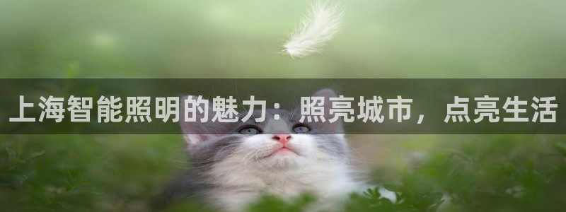 云顶国际酒店位置地图
