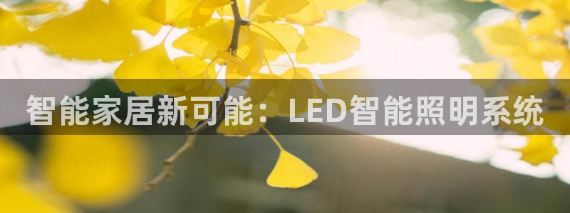 云顶国际app手机版