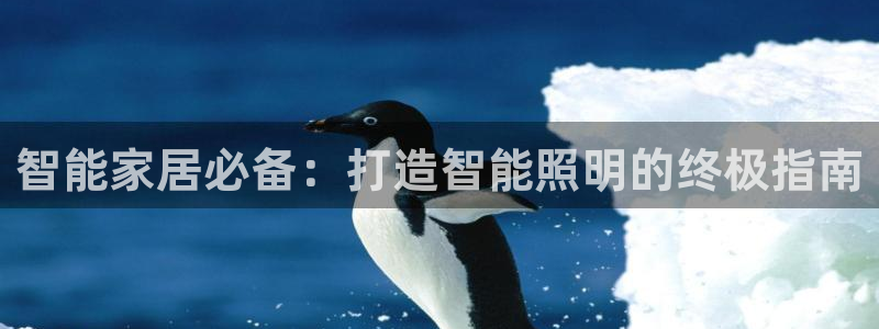 云顶国际pg网站