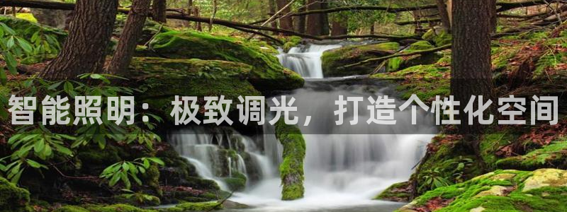 云顶手游国际服账号