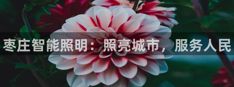 云顶国际官方网站下载