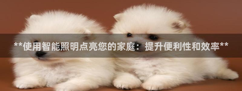 云顶集团简介概况