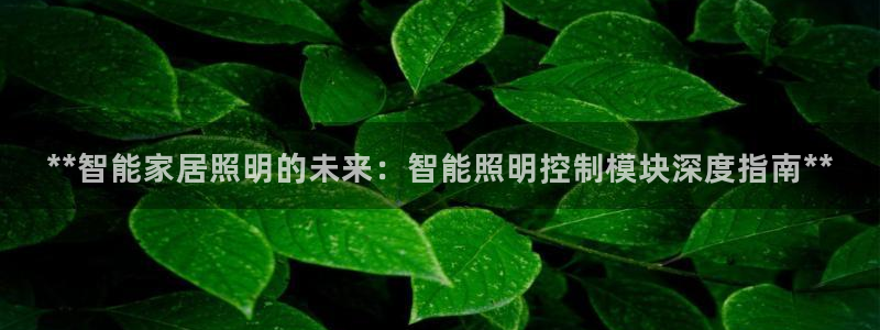 云顶国际集团发展有限公司国内项目总经理