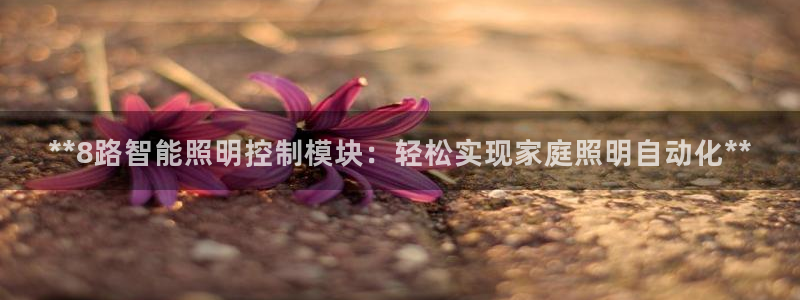 云顶集团林致华