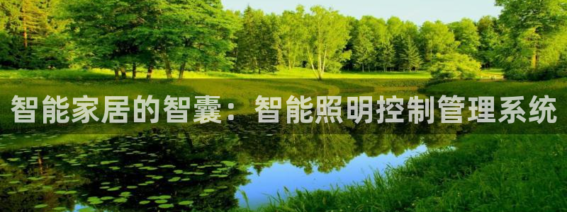 云顶国际服如何调中文