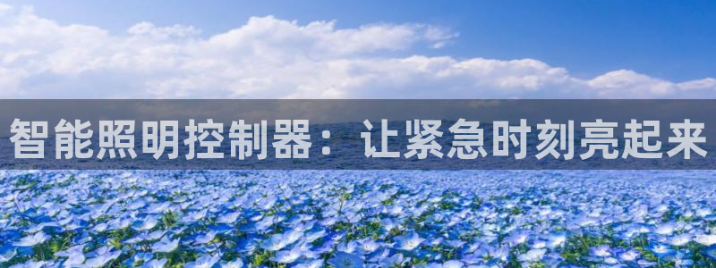 云顶国际软装公司怎么样