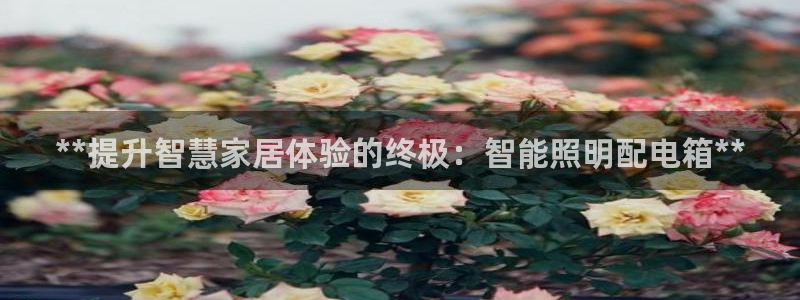 云顶线路快速检测中心