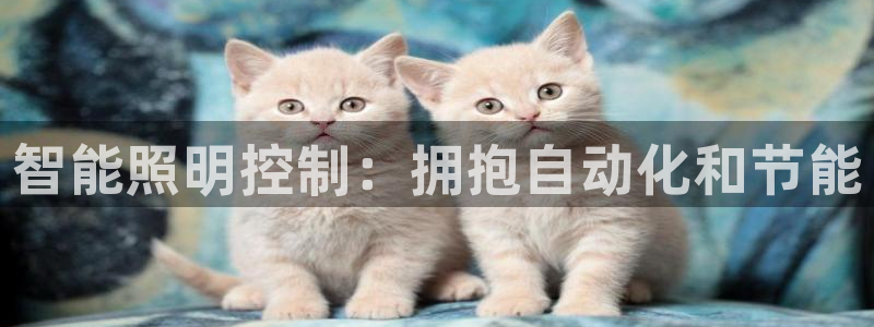 云顶国际服怎么下载