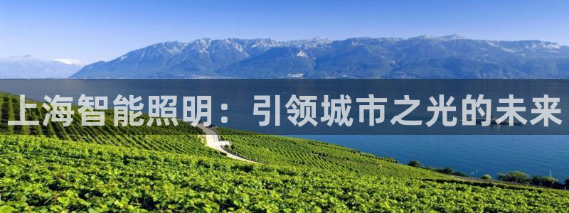 云顶集团董事长林东简历