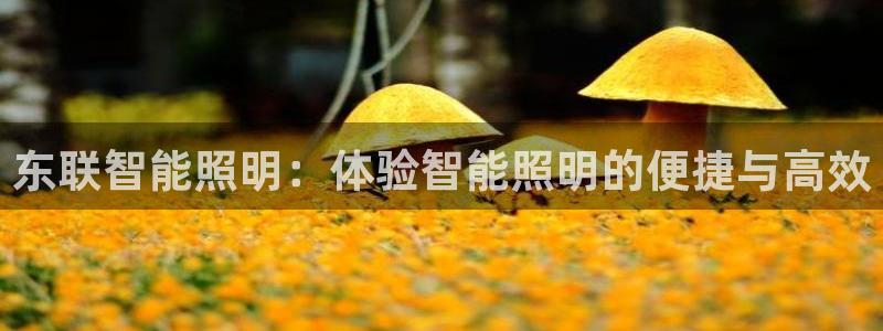 云顶国际是什么软件